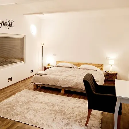 210 M2 Loft Mit Terasse 2b 3r Kreuzberg Apartment